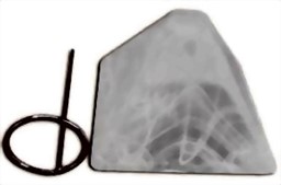 Zeige Details für Spritzschutz mit Edelstahl-Halter Bild von Spritzschutz mit Edelstahl-Halter