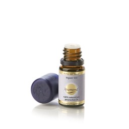 Zeige Details für Ingwer bio 5 ml Bild von Ingwer bio 5 ml