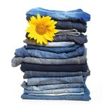 Zeige Produkte für Kategorie Alvito-Waschsystem Bild für Kategorie Alvito-Waschsystem